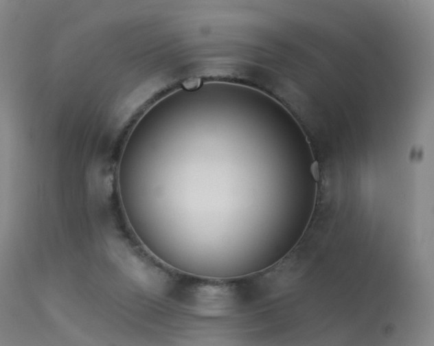 X0000113230160200909171547