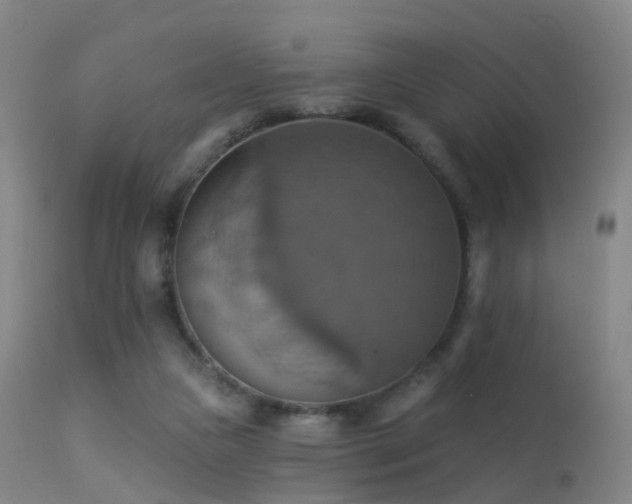 X0000113230161200909171547