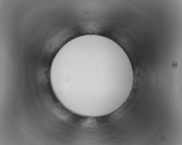 X0000113230162200909171547