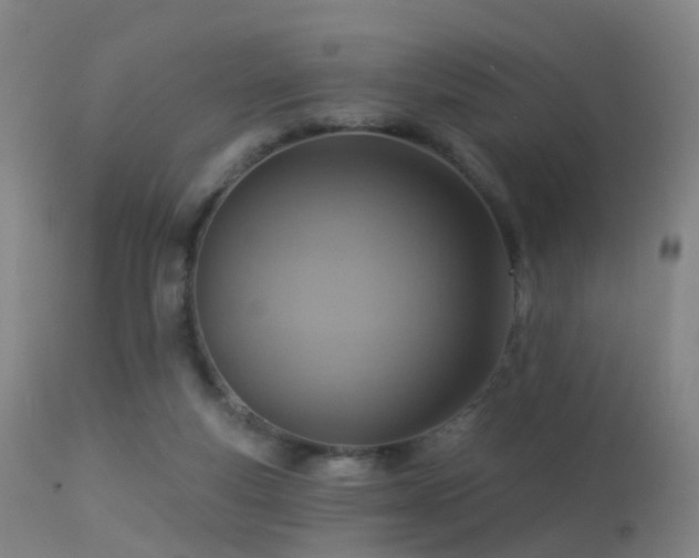 X0000113230163200909171547