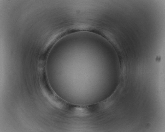 X0000113230167200909171547