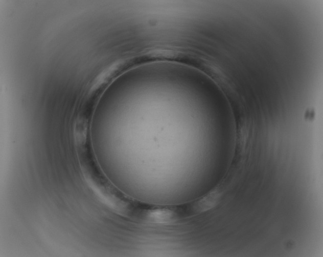 X0000113230168200909171547