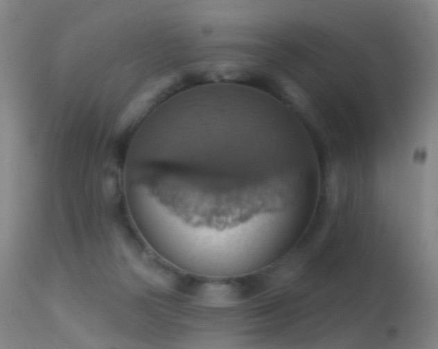 X0000113230169200909171547