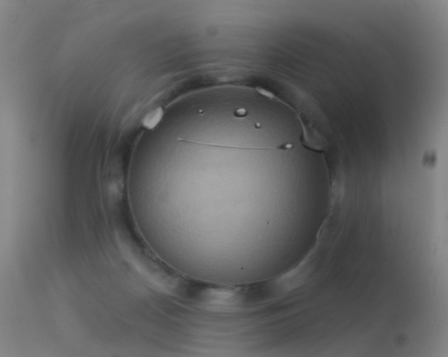 X0000113230170200909171547