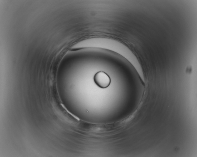 X0000113230174200909171547