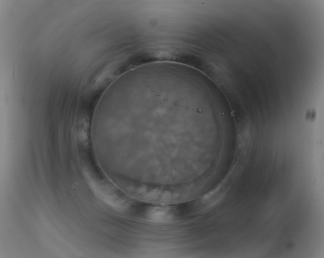 X0000113230175200909171547