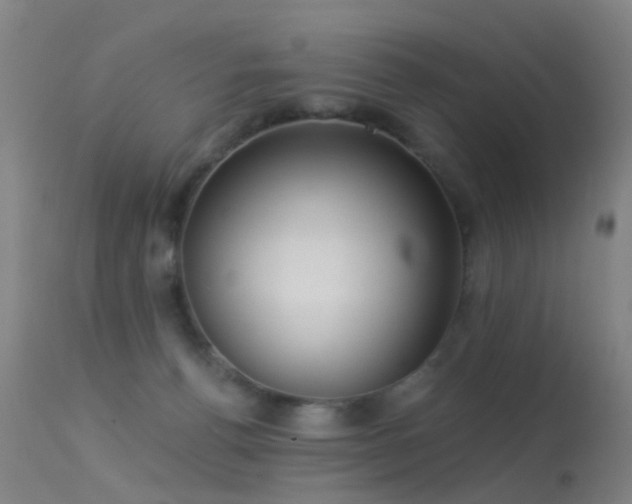 X0000113230176200909171547