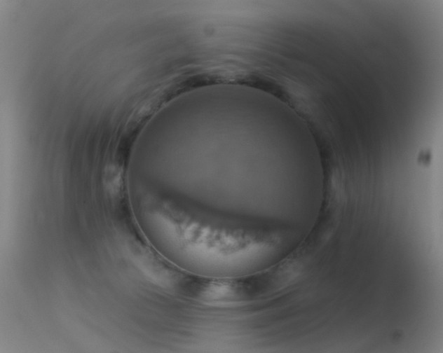 X0000113230177200909171547