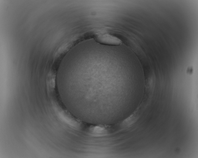 X0000113230180200909171547