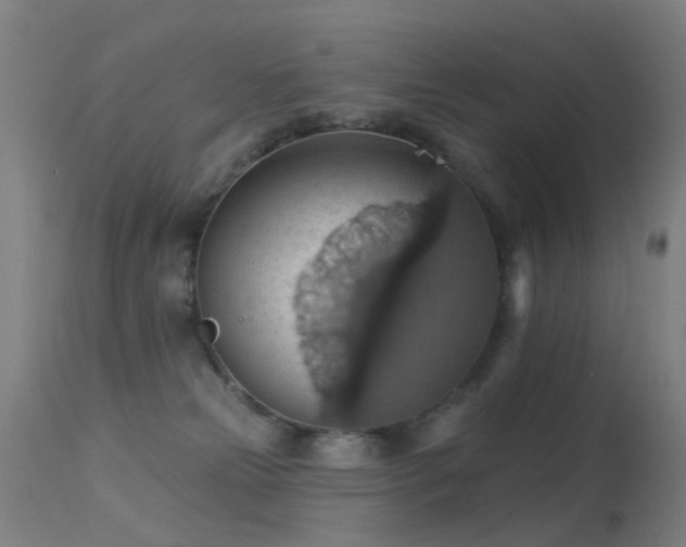 X0000113230181200909171547