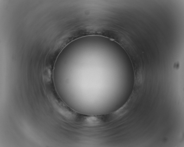 X0000113230183200909171547