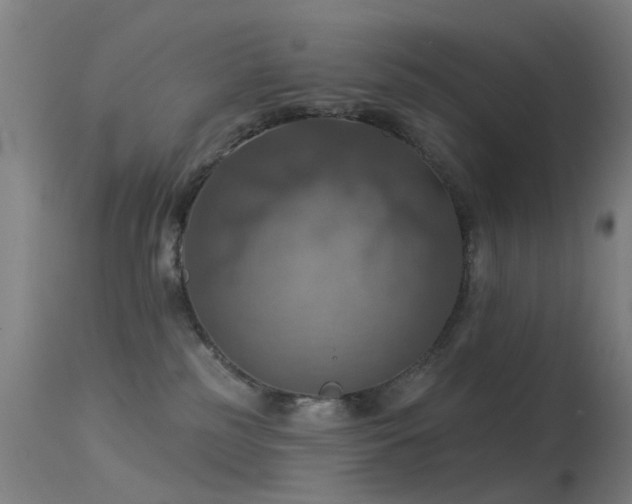 X0000113230185200909171547