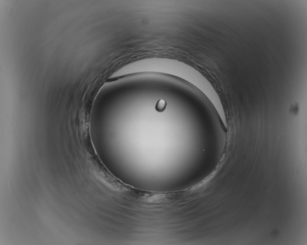 X0000113230186200909171547