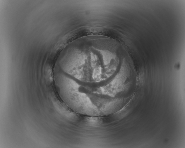 X0000113230187200909171547