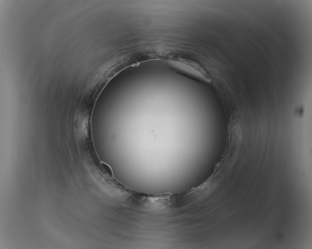 X0000113230188200909171547