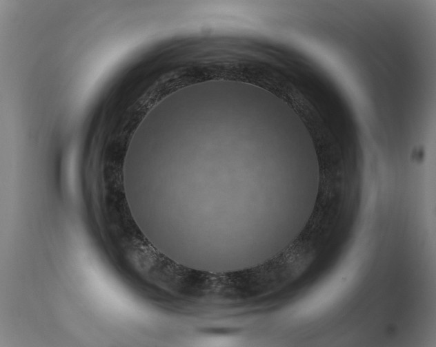 X0000113230189200909171547