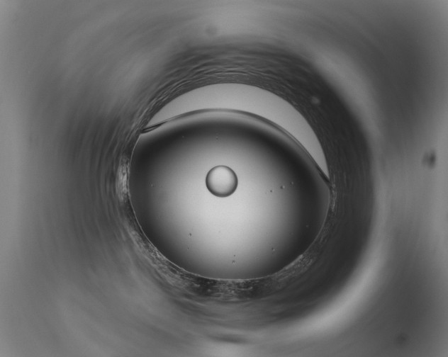 X0000113230190200909171547