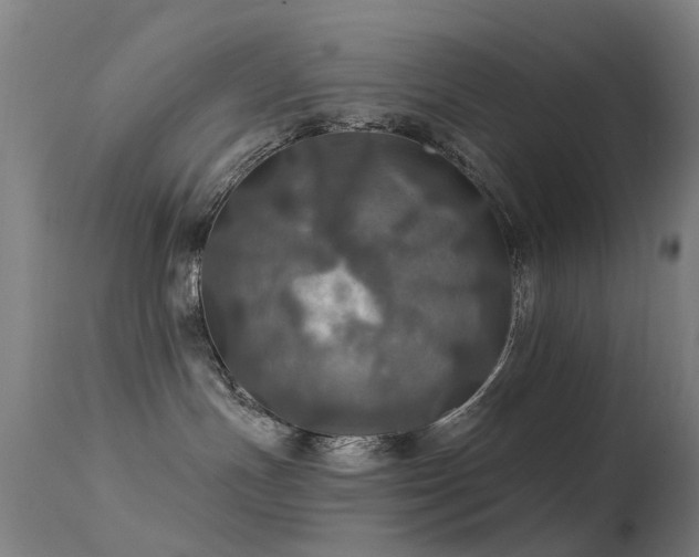 X0000113230191200909171547