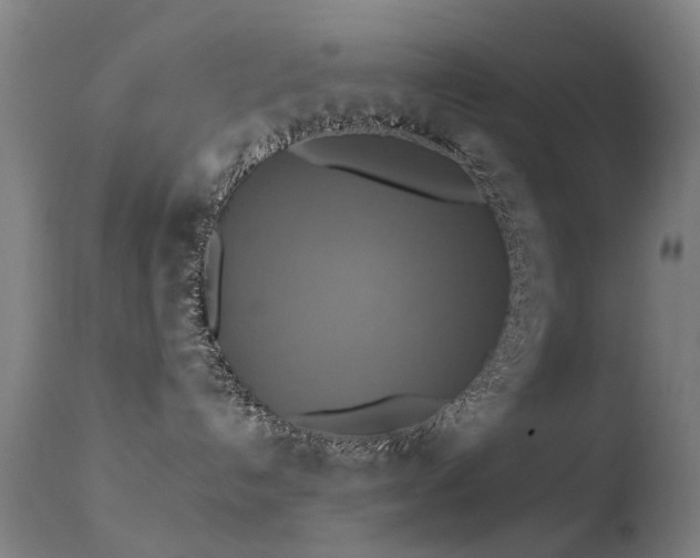 X0000113230192200909171547