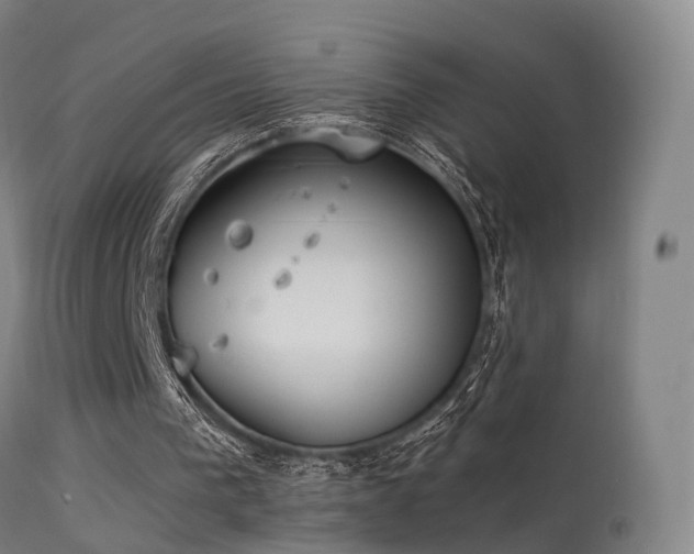 X0000113230193200909171547