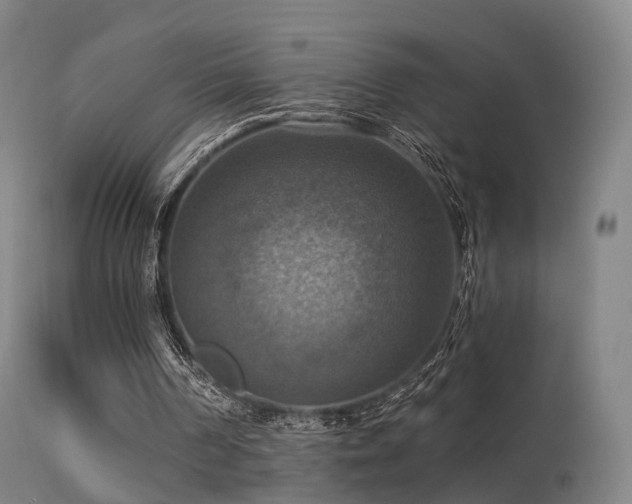 X0000113230194200909171547