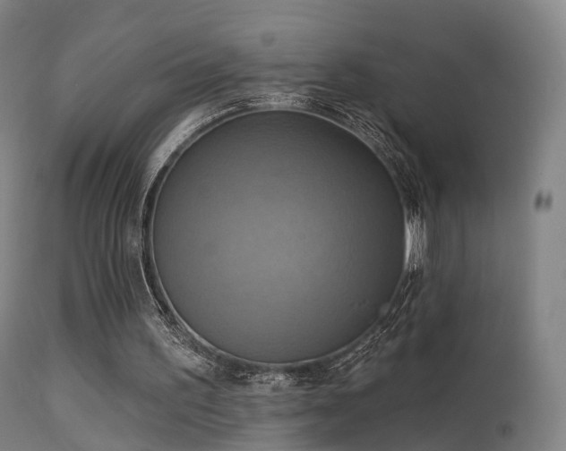 X0000113230195200909171546