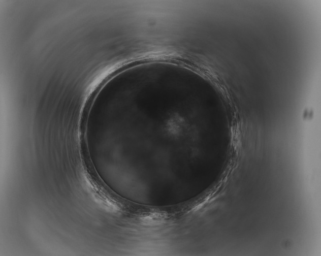 X0000113230196200909171546