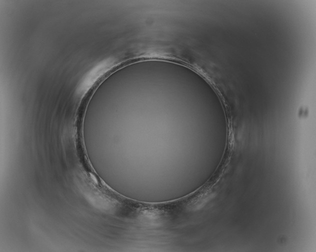 X0000113230199200909171546