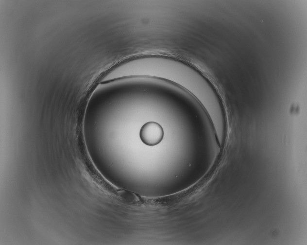 X0000113230201200909171546