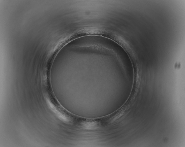 X0000113230202200909171546