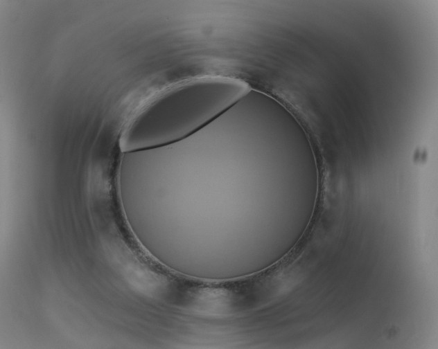 X0000113230203200909171546