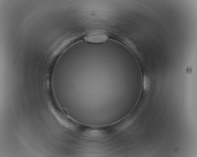 X0000113230205200909171546