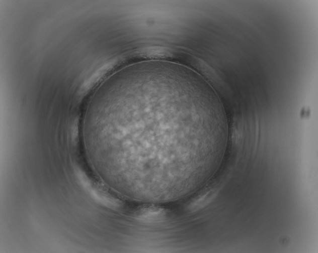 X0000113230206200909171546