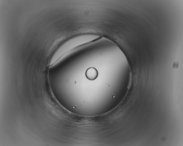 X0000113230207200909171546