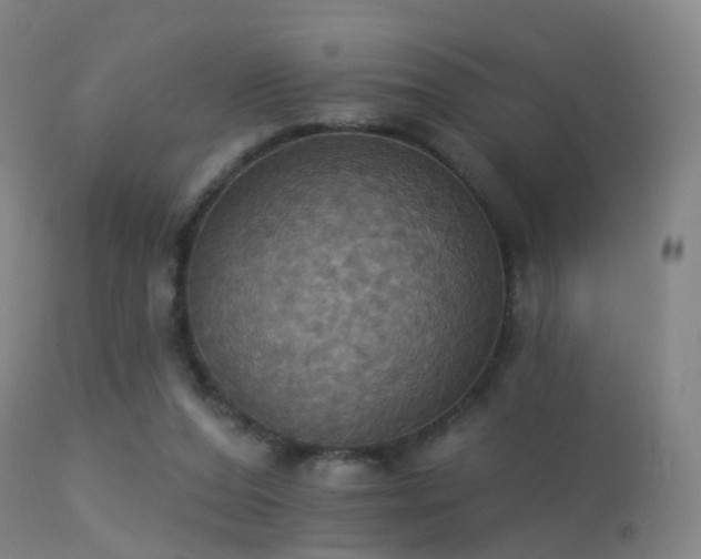 X0000113230208200909171546