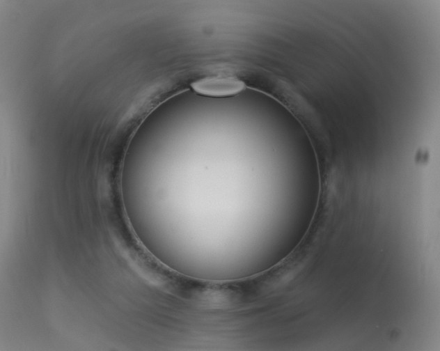 X0000113230209200909171546