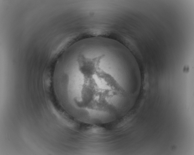 X0000113230210200909171546