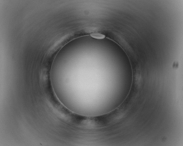 X0000113230211200909171546