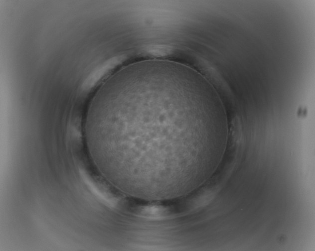 X0000113230212200909171546