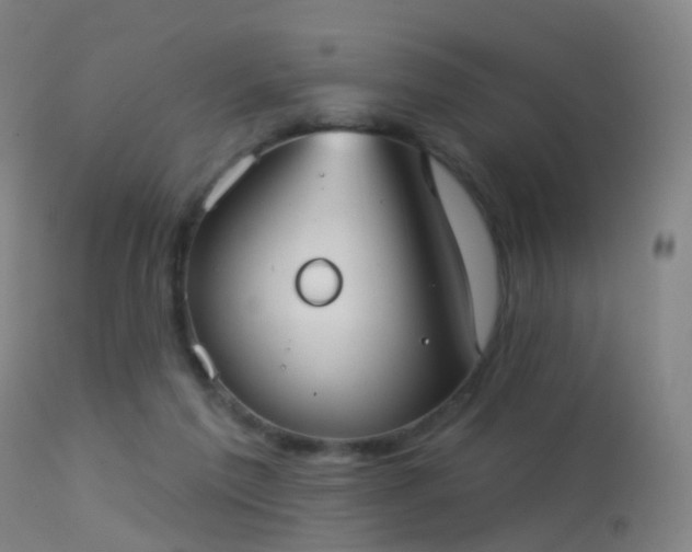 X0000113230213200909171546