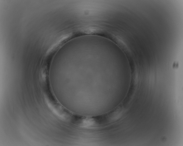 X0000113230214200909171546