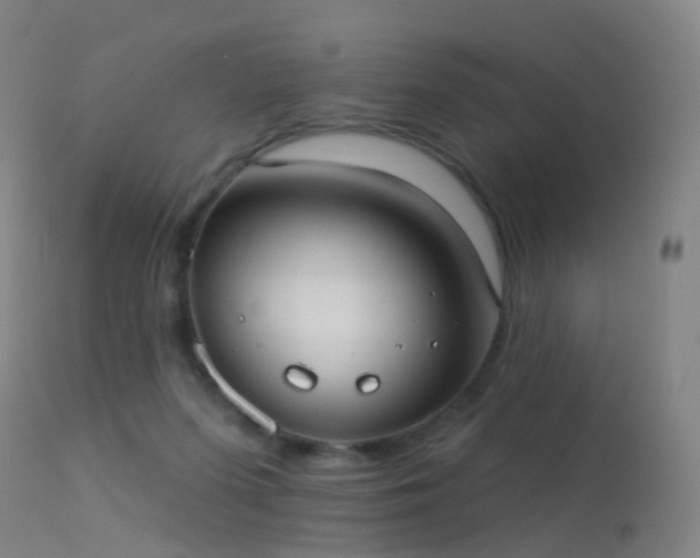 X0000113230215200909171546