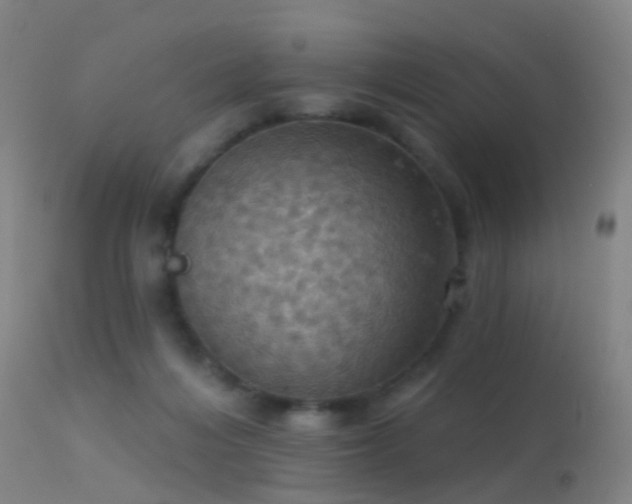 X0000113230216200909171546