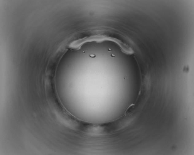 X0000113230217200909171546