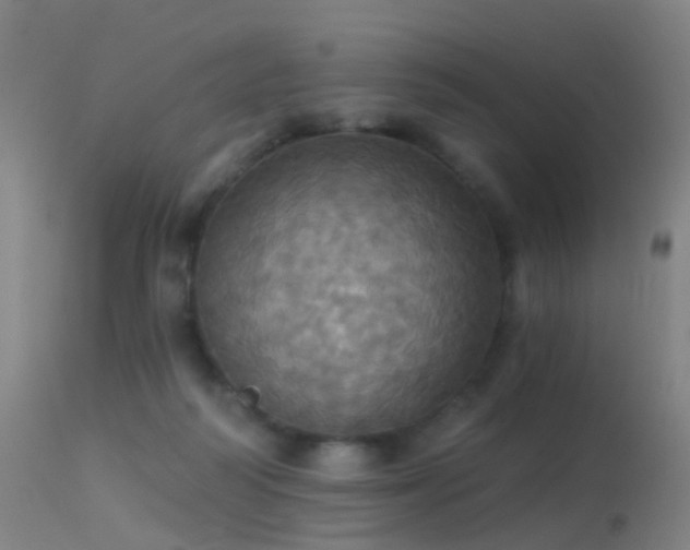 X0000113230218200909171546