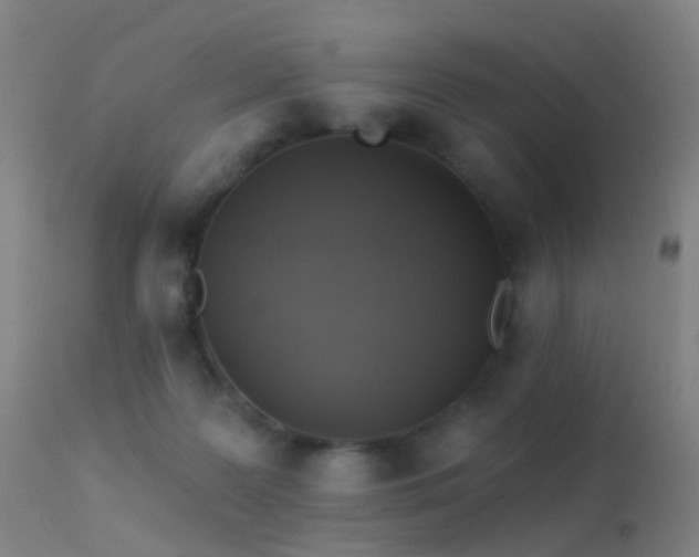 X0000113230219200909171546