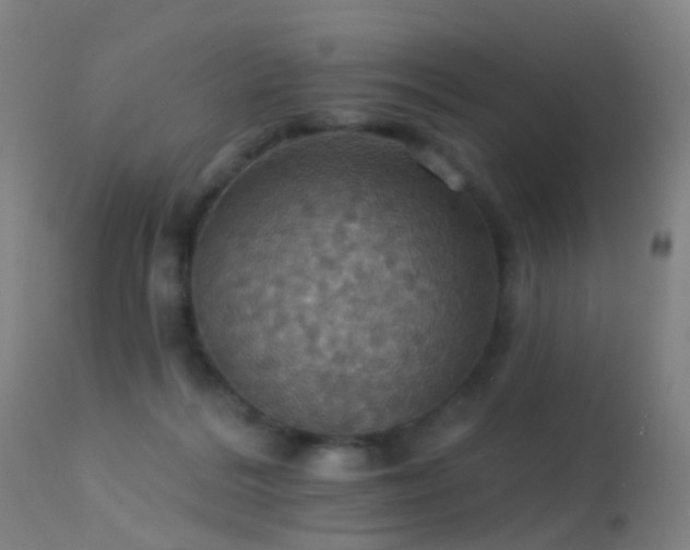 X0000113230220200909171546