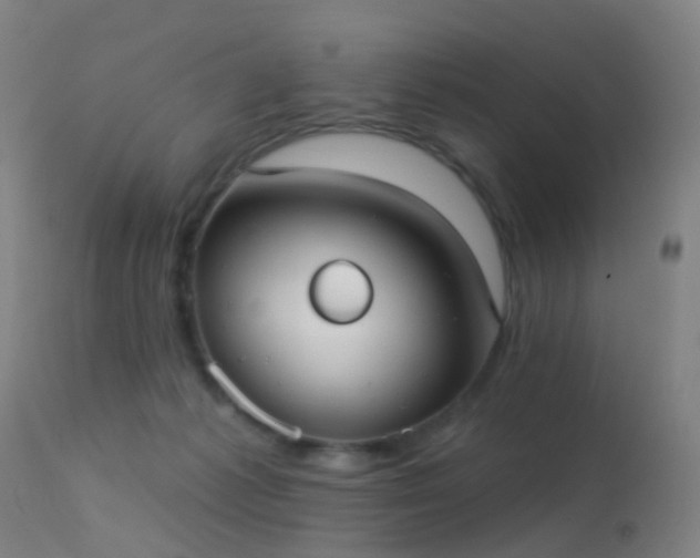 X0000113230221200909171546