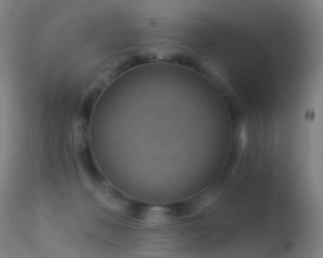 X0000113230222200909171546