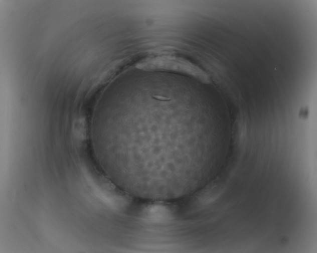 X0000113230224200909171546